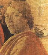 Sandro Botticelli Young man in a Yellow mantle (mk36) Germany oil painting artist